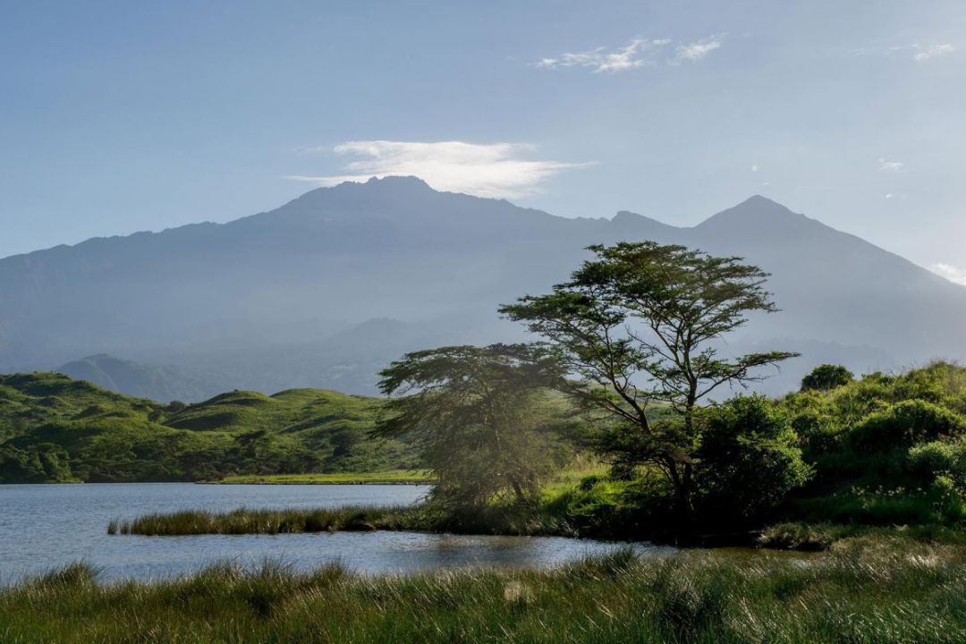 A canoe safari on Lake Momella in Arusha National Park offers the unique opportunity to get close to the animals. From the canoe you can see different animals,