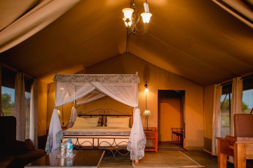 Accomodation