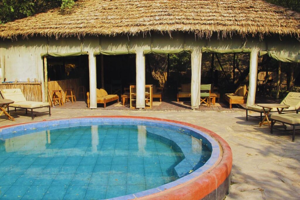 Accomodation (15)