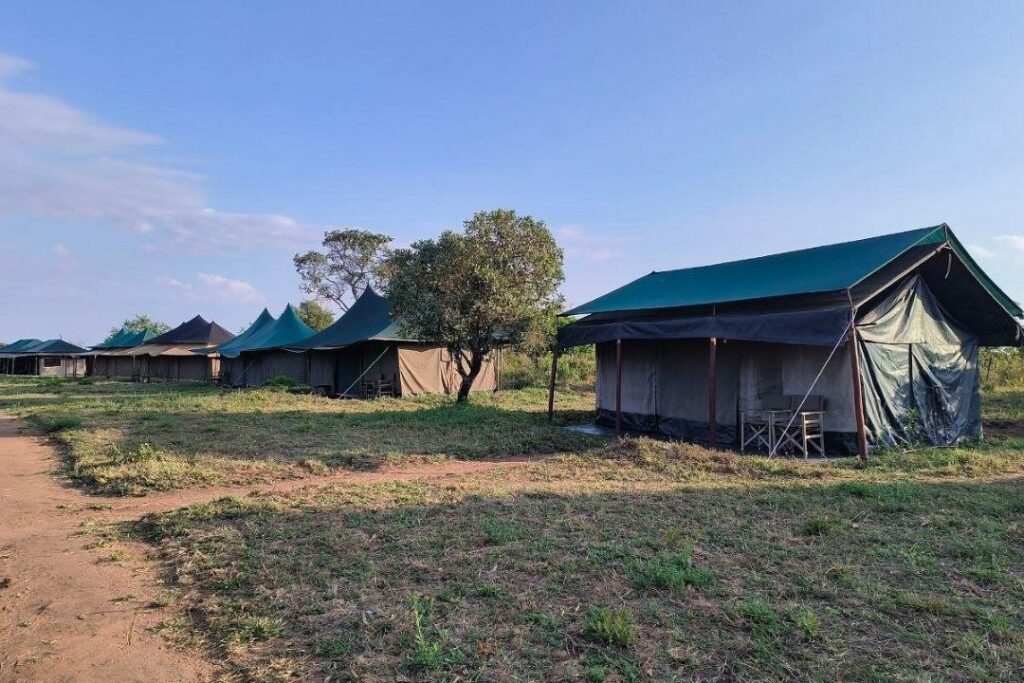 Serengeti Heritage (2)