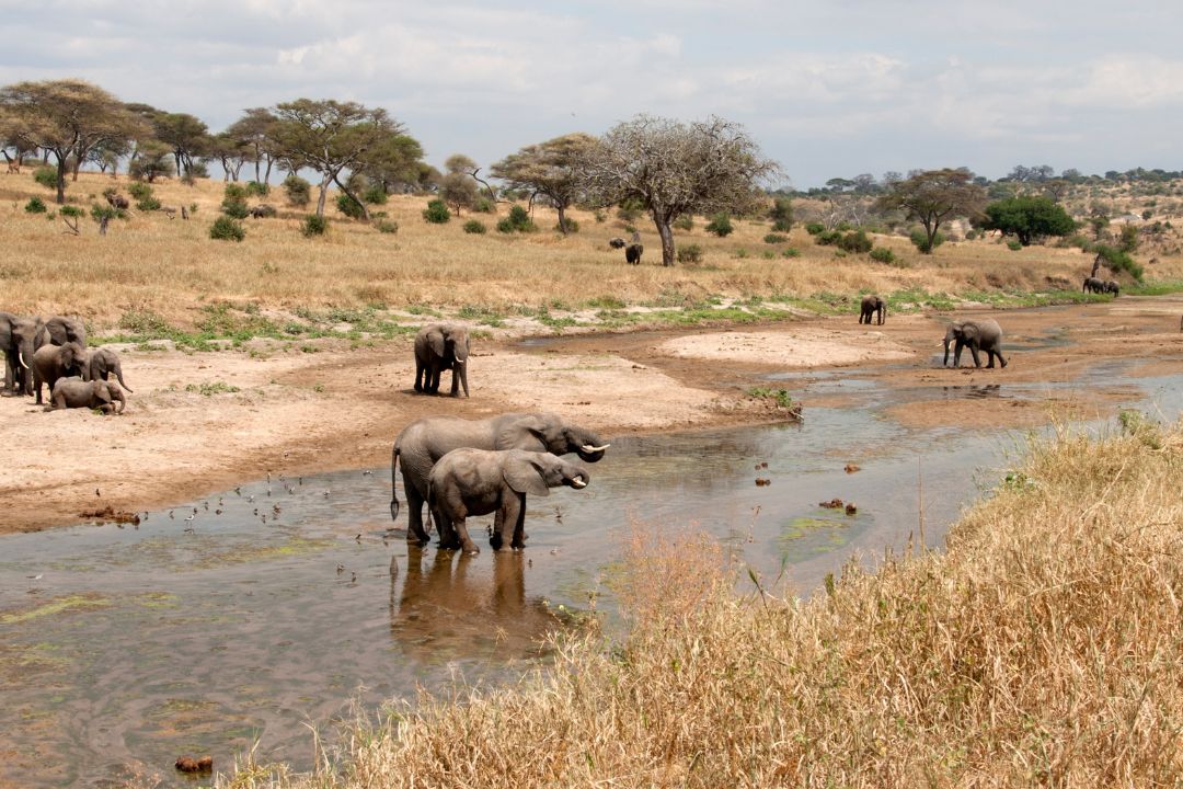 2 to 3 Days  (Visit 1 or 2 Parks)