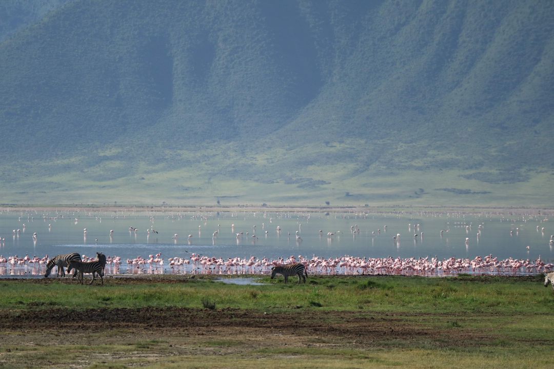 Ngorongoro Crater