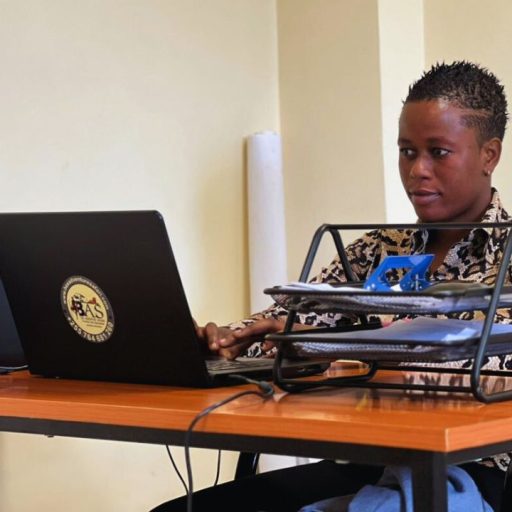 Wildlife safari in Serengeti National Park with Bee Adventure Safari, top Tanzania tour operator"