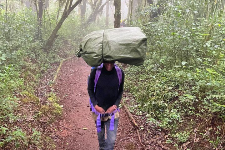 Bee Adventure Safari porters on the Way