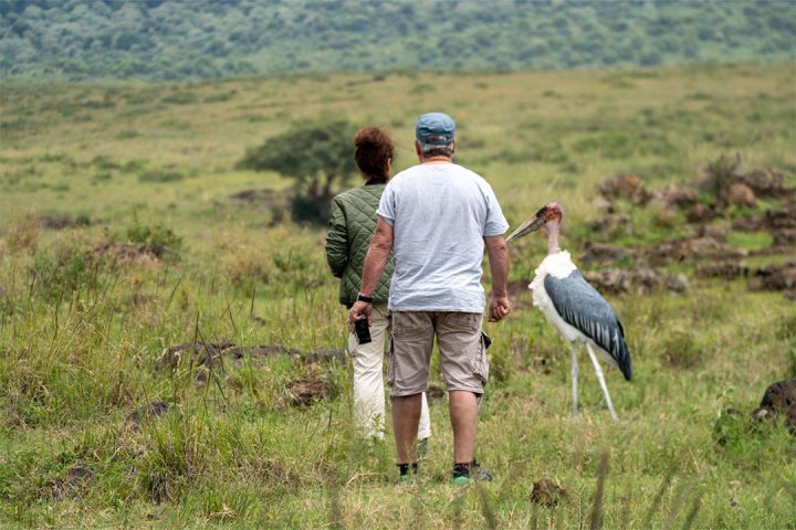 6-Days-Ngorongoro-Highlands-Walking-Safari
