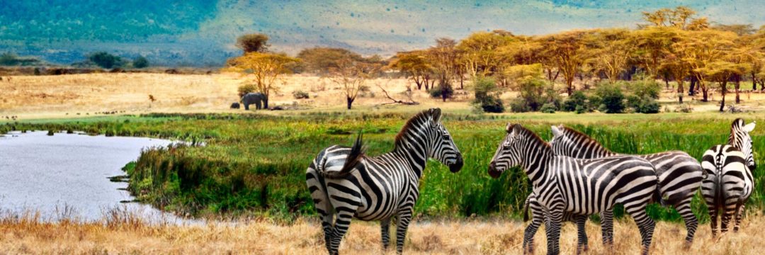 Adventure safari (6)