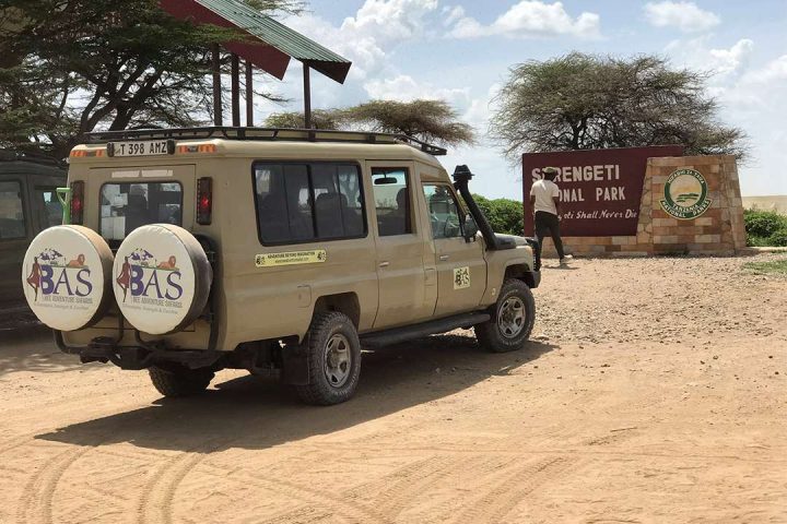 group sharing safari