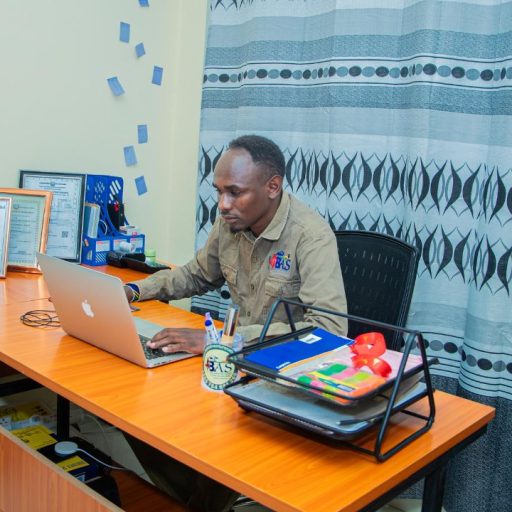 Wildlife safari in Serengeti National Park with Bee Adventure Safari, top Tanzania tour operator"