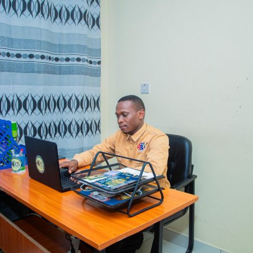 Wildlife safari in Serengeti National Park with Bee Adventure Safari, top Tanzania tour operator"