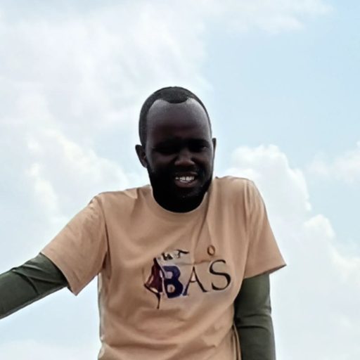 Wildlife safari in Serengeti National Park with Bee Adventure Safari, top Tanzania tour operator"