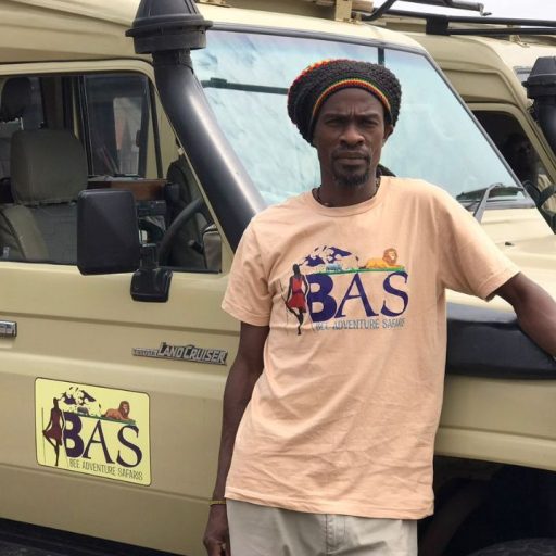 Wildlife safari in Serengeti National Park with Bee Adventure Safari, top Tanzania tour operator"