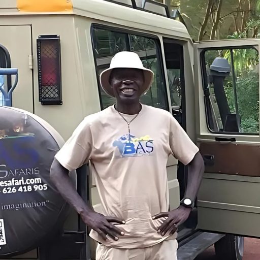 Wildlife safari in Serengeti National Park with Bee Adventure Safari, top Tanzania tour operator"