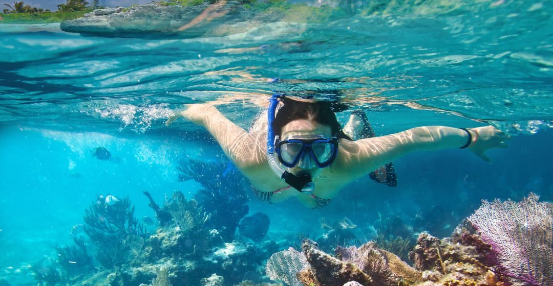 Snorkeling in Vibrant Reefs