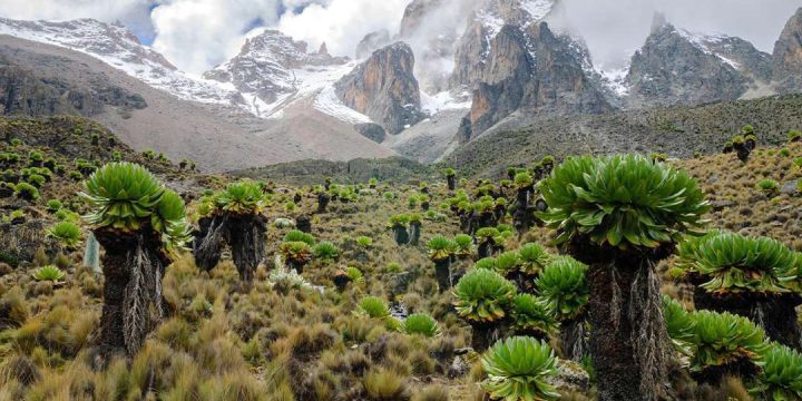 Timau-Route-Mount-Kenya