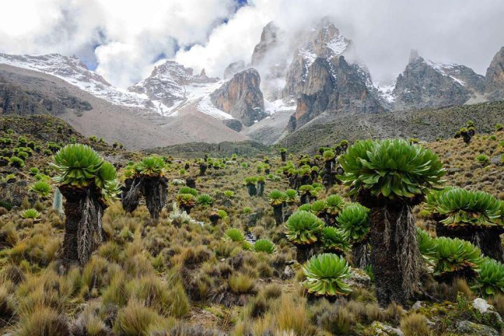 Timau-Route-Mount-Kenya